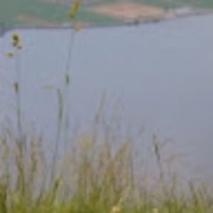 Meet your Posher, Audrey